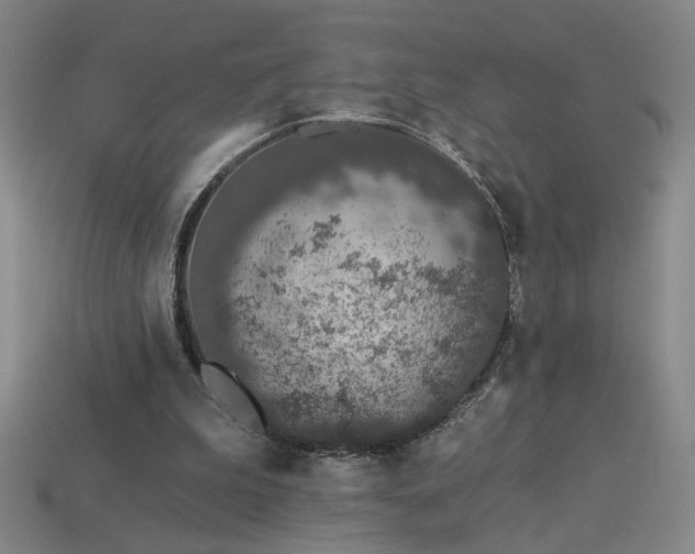 X0000114120199200910051517