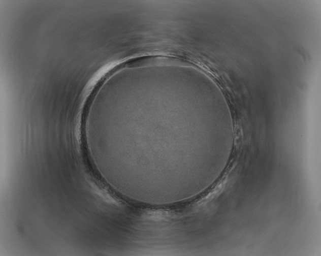 X0000114120200200910051517