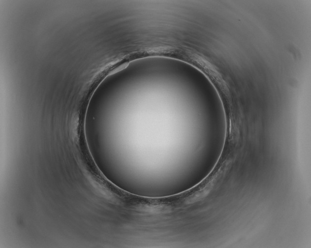 X0000114120201200910051517