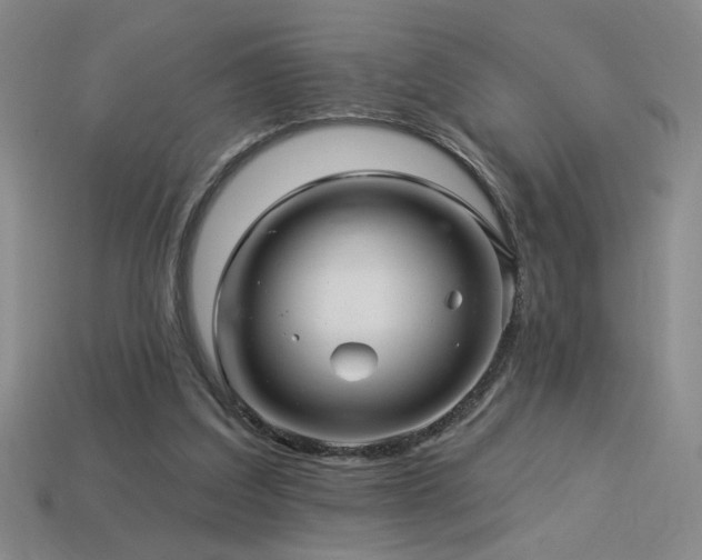 X0000114120203200910051517