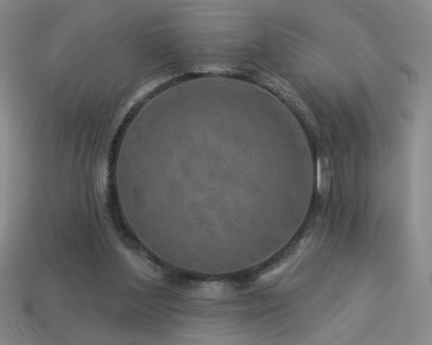 X0000114120204200910051517