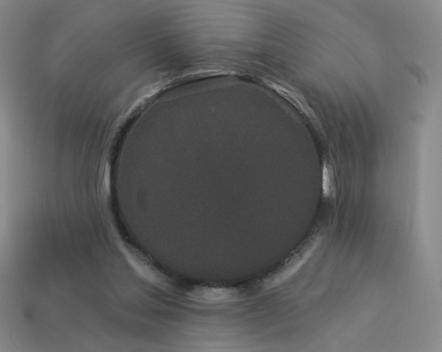 X0000114120205200910051517