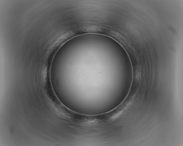 X0000114120206200910051517