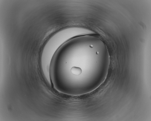 X0000114120207200910051517