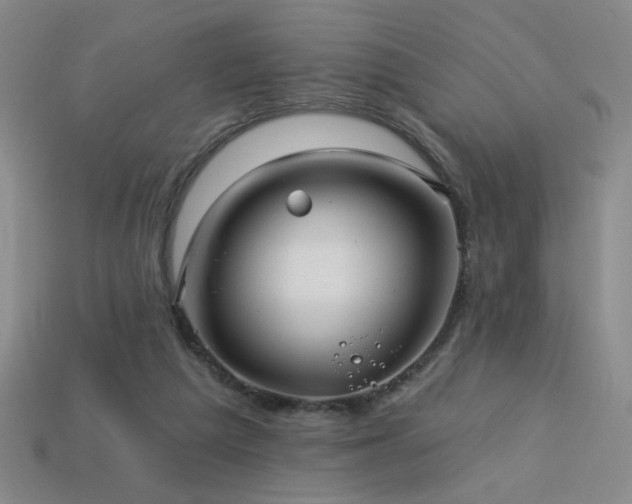 X0000114120209200910051517