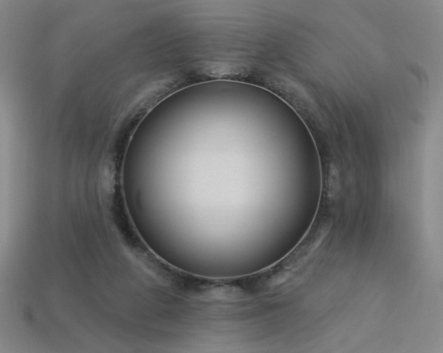 X0000114120210200910051517