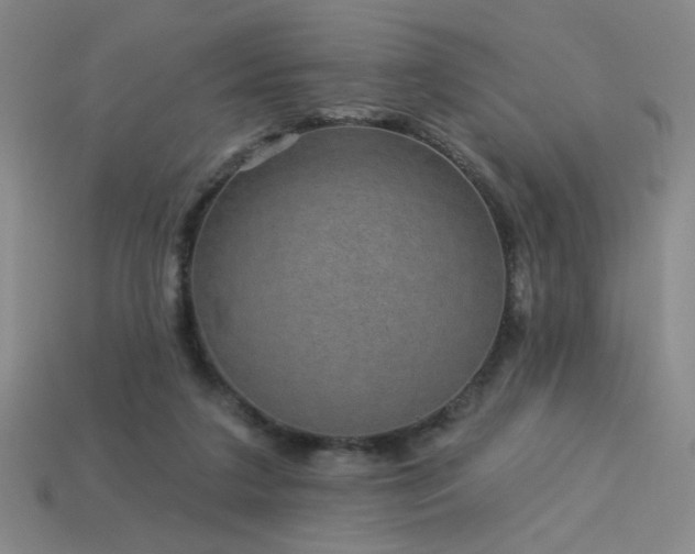 X0000114120211200910051517