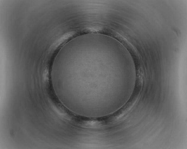 X0000114120212200910051517