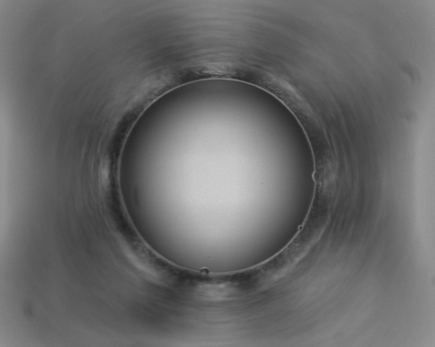 X0000114120213200910051517