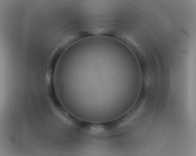 X0000114120214200910051517