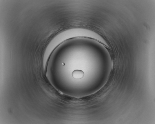 X0000114120215200910051517