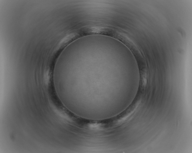 X0000114120216200910051517