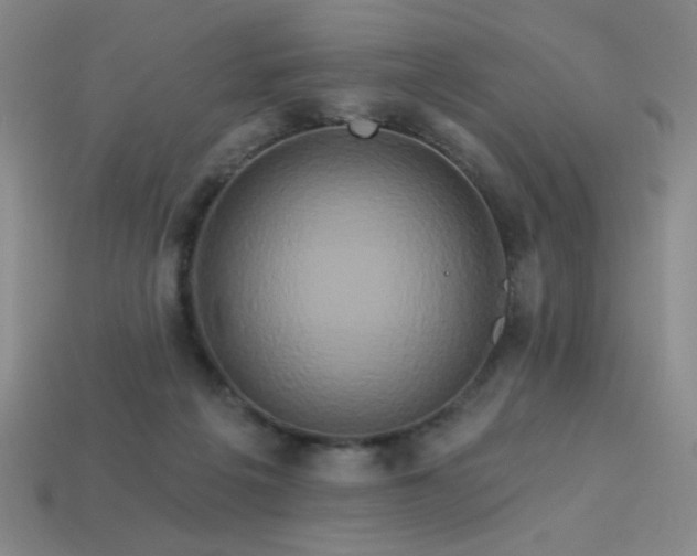 X0000114120217200910051517