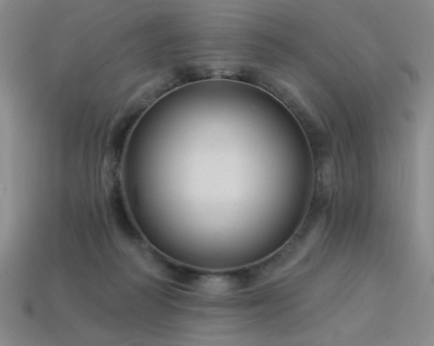 X0000114120218200910051517