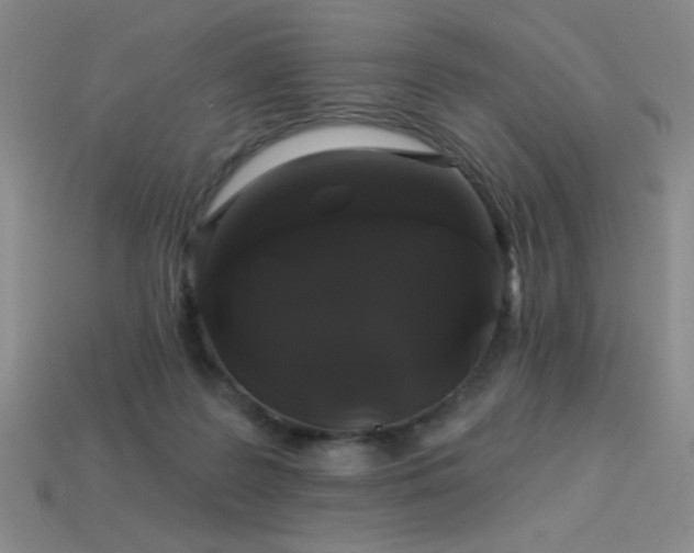 X0000114120219200910051517