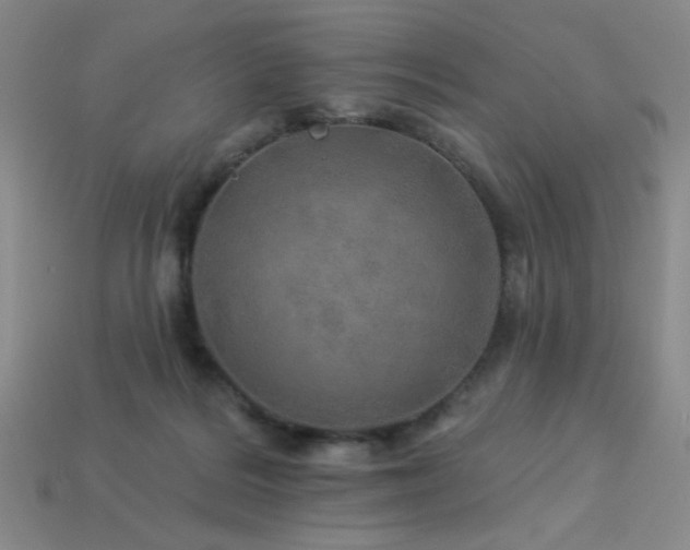 X0000114120220200910051517