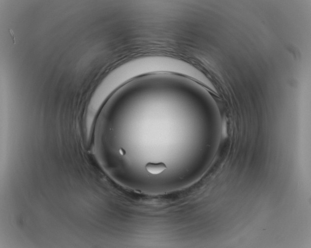 X0000114120221200910051517