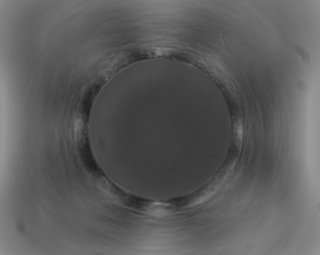 X0000114120222200910051517