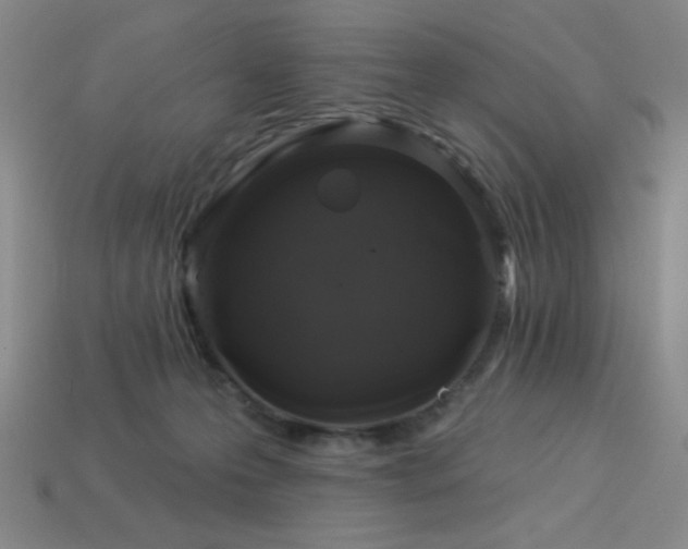 X0000114120223200910051517