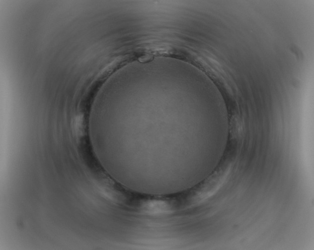 X0000114120224200910051517