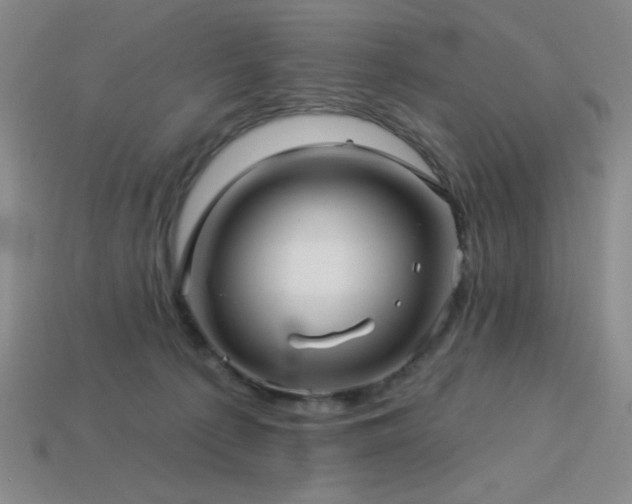 X0000114120225200910051517