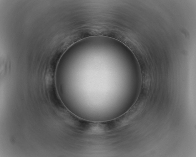 X0000114120226200910051517