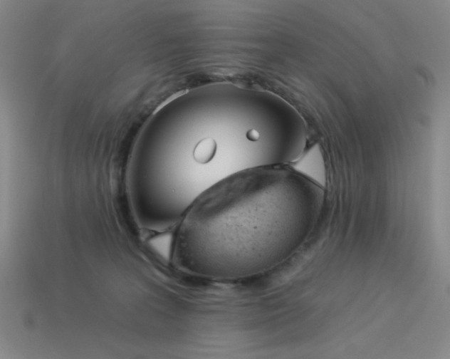 X0000114120227200910051517