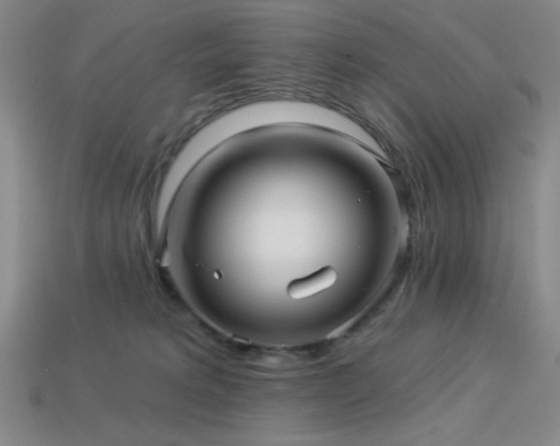 X0000114120229200910051517