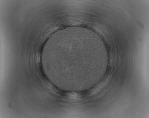 X0000114120230200910051517