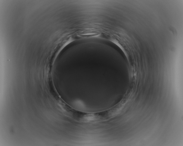 X0000114120231200910051517