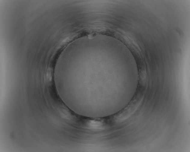 X0000114120232200910051517