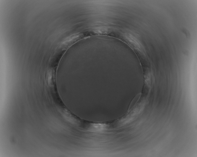 X0000114120233200910051517