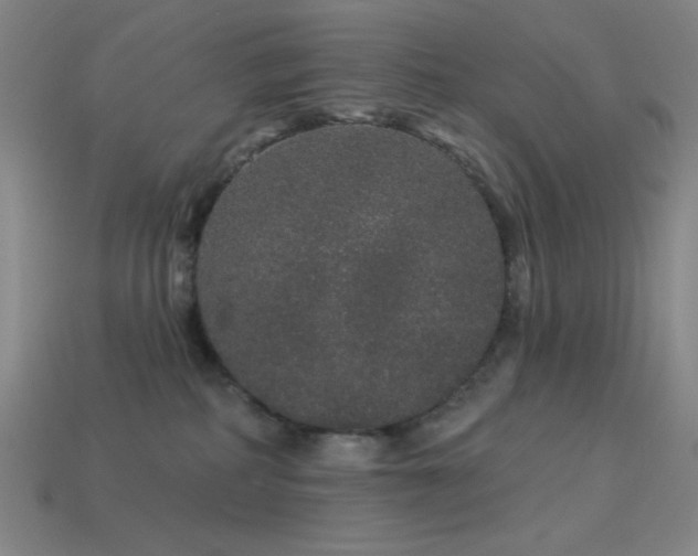 X0000114120234200910051517