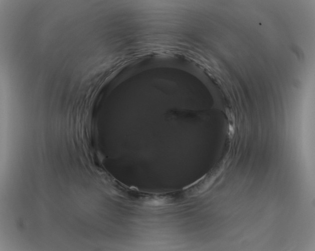 X0000114120235200910051517