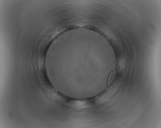 X0000114120236200910051517