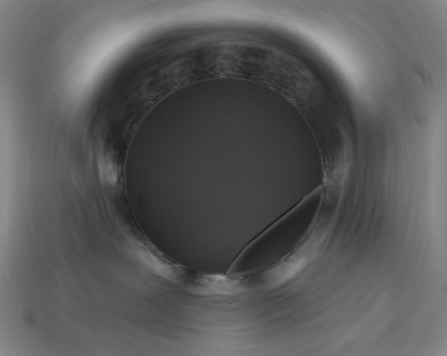 X0000114120239200910051517