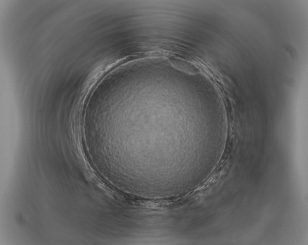 X0000114120241200910051516