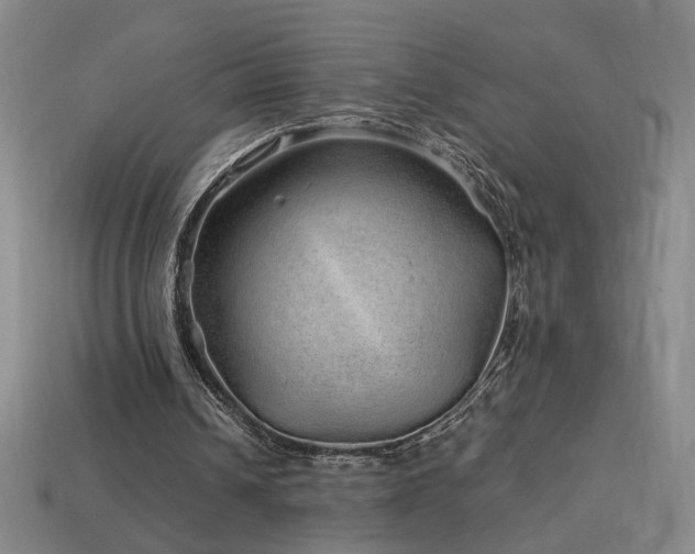 X0000114120242200910051516