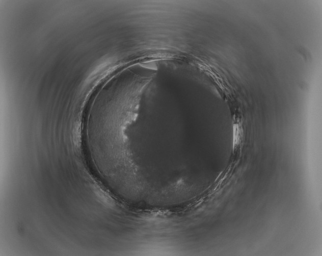 X0000114120243200910051516