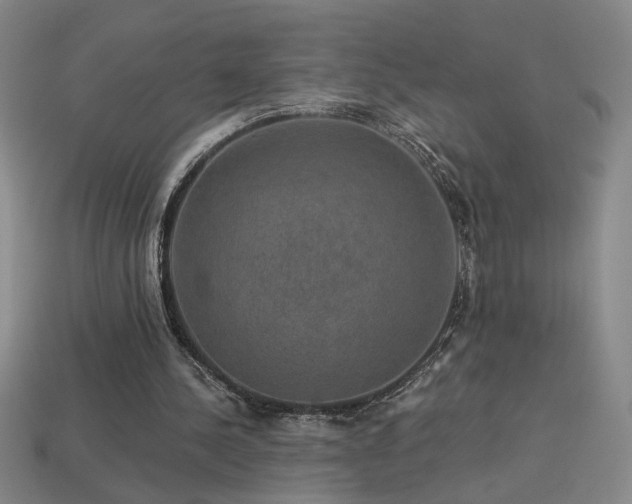 X0000114120244200910051516