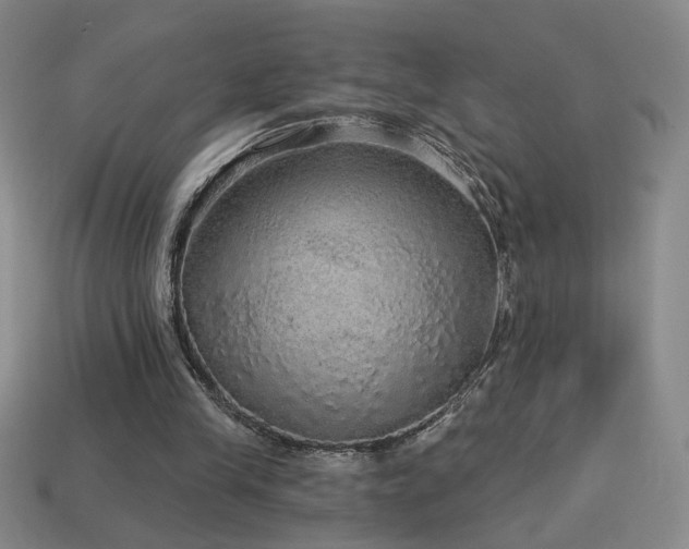 X0000114120245200910051516