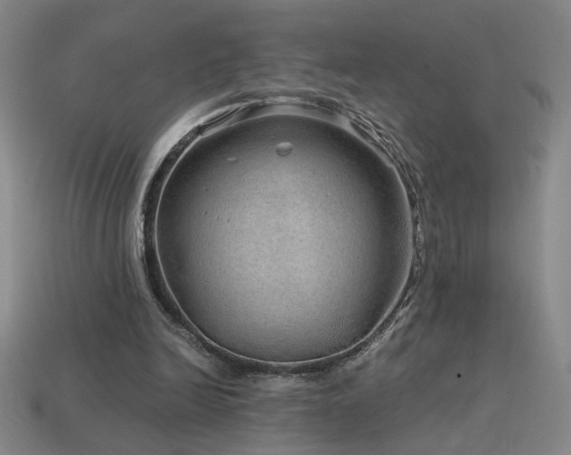 X0000114120246200910051516