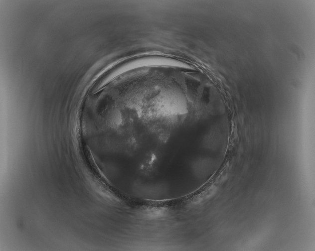 X0000114120247200910051516