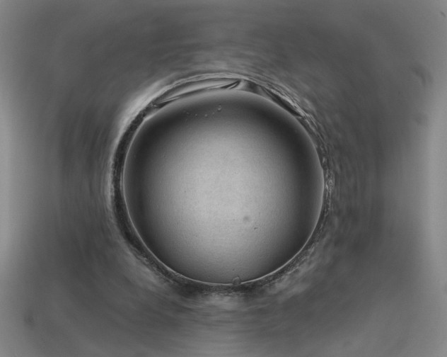 X0000114120248200910051516