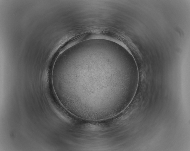 X0000114120250200910051516