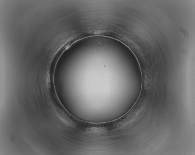 X0000114120251200910051516