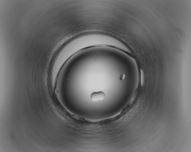 X0000114120252200910051516