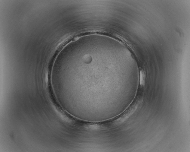 X0000114120253200910051516