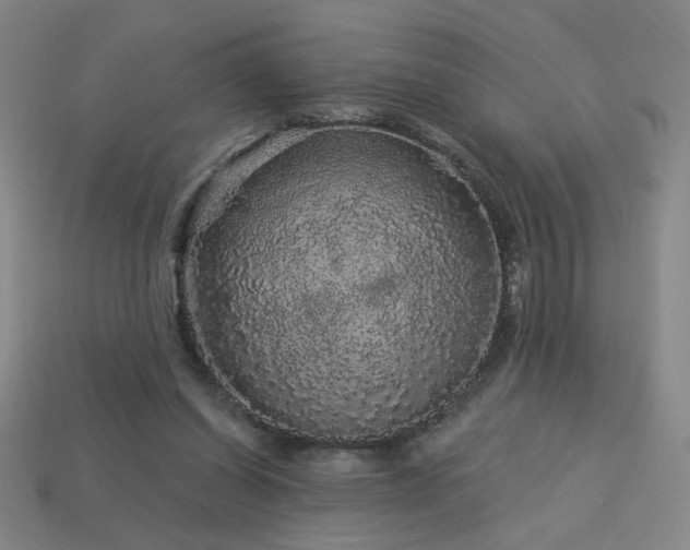 X0000114120254200910051516