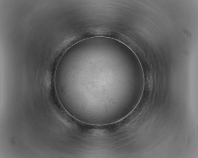 X0000114120255200910051516